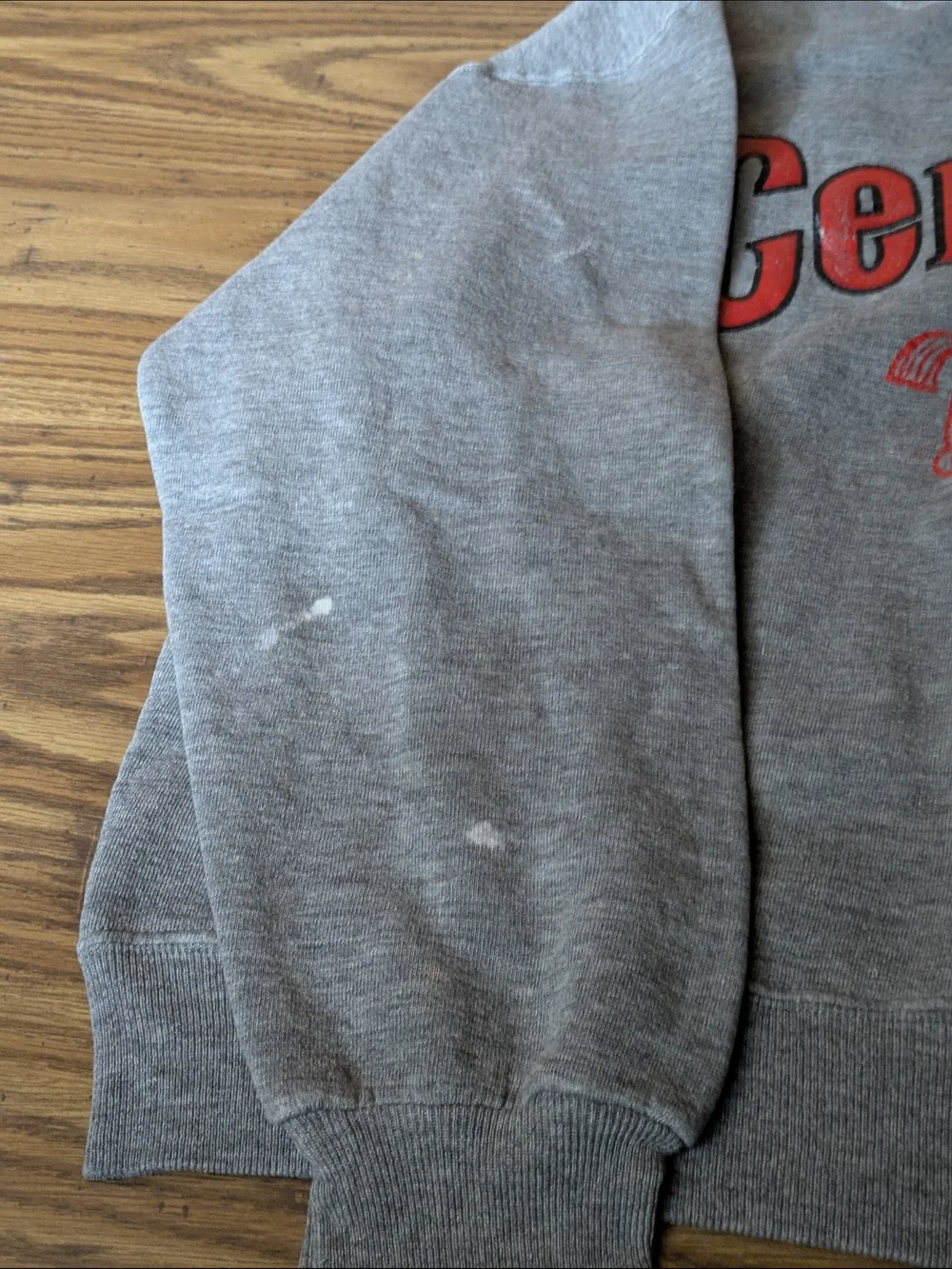 VTG 90s‎ Central Horse Graphic Crewneck - Distressed/Artisan Style 🐎